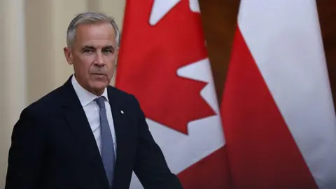 Mark Carney speaks in front of a Canadian flag at an event