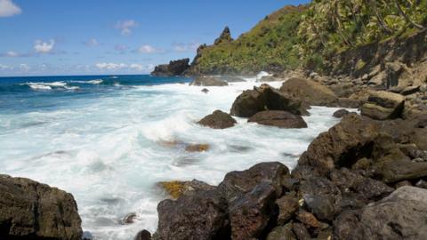 Isolating on Pitcairn: A Woman's Encounter with Hantavirus