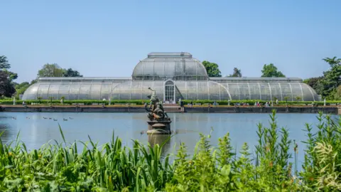 The Palm House at the Royal Botanic Gardens Kew. A large building made of iron and glass overlooks the lake  and foliage. 
