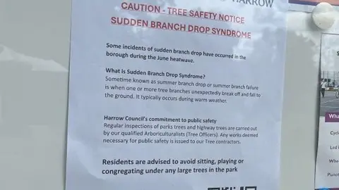 A sign explaining the dangers of Sudden Branch Drop Syndrome, and advising people not to sit near large trees