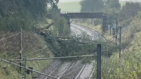 Network Rail Scotland A tree across the rail lines near Beattock with a railway bridge in the background