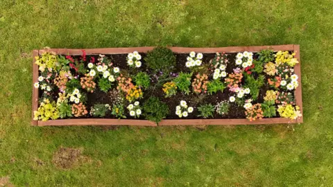 Shaun Whitmore/BBC An aerial shot of flowers of all different colours inside a large wooden planter