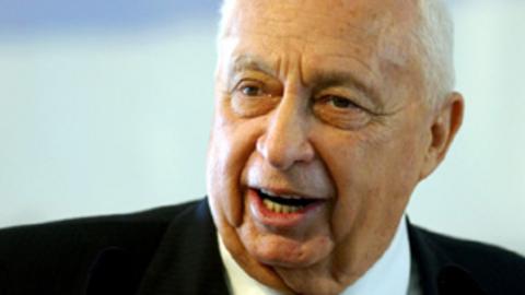 Ariel Sharon: Israeli ex-PM in coma 'has brain activity' - BBC News