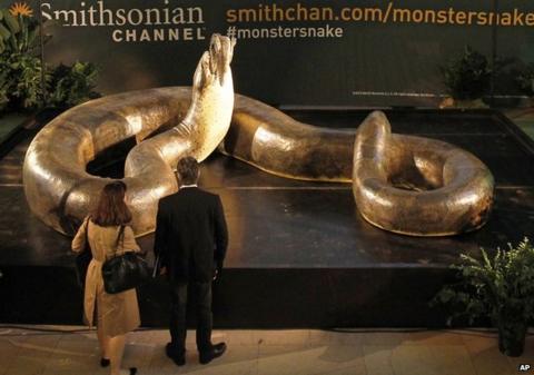 The giant snake that stalked the Earth - BBC News