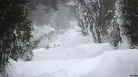 In pictures: Jersey gets more than 5.5 inches (14cm) of snowfall - BBC News