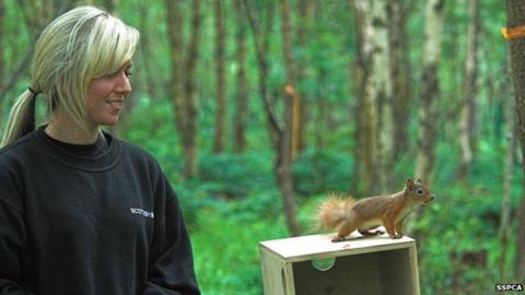 sspca thousands wildlife