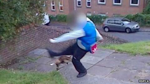 luton banned beating rspca