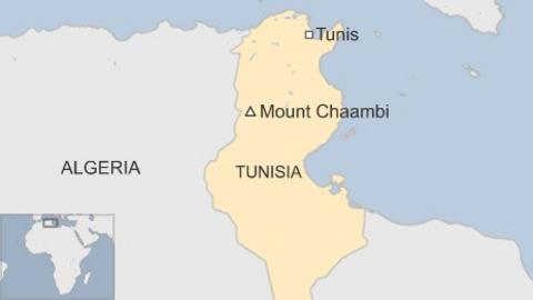 algerian tunisian killed