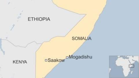 US strike in Somalia 'killed al-Shabab intelligence chief' - BBC News