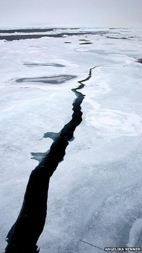 arctic-sea-ice-extent-hits-record-low-for-winter-bbc-news