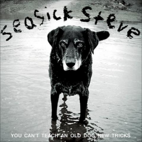 seasick steve cd cover fame for abandoned welsh dog twm