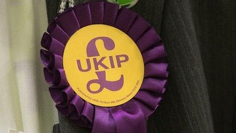 UKIP rosette