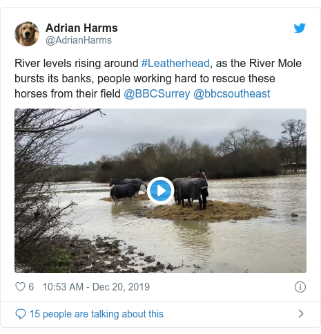 Twitter post by @AdrianHarms: River levels rising around #Leatherhead, as the River Mole bursts its banks, people working hard to rescue these horses from their field @BBCSurrey @bbcsoutheast 