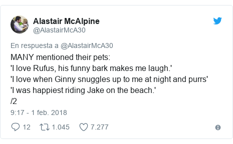Publicación de Twitter por @AlastairMcA30: MANY mentioned their pets 'I love Rufus, his funny bark makes me laugh.''I love when Ginny snuggles up to me at night and purrs''I was happiest riding Jake on the beach.' /2