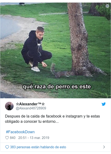 PublicaciÃ³n de Twitter por @Alexand48728909: Despues de la caida de facebook e instagram y te estas obligado a conocer tu entorno...  #FacebookDown 