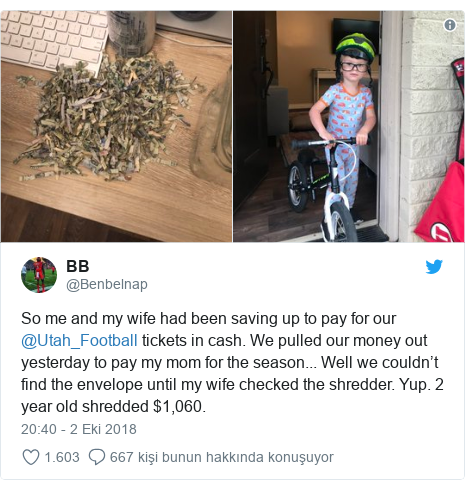 @Benbelnap tarafından yapılan Twitter paylaşımı: So me and my wife had been saving up to pay for our @Utah_Football tickets in cash. We pulled our money out yesterday to pay my mom for the season... Well we couldn’t find the envelope until my wife checked the shredder. Yup. 2 year old shredded $1,060. 