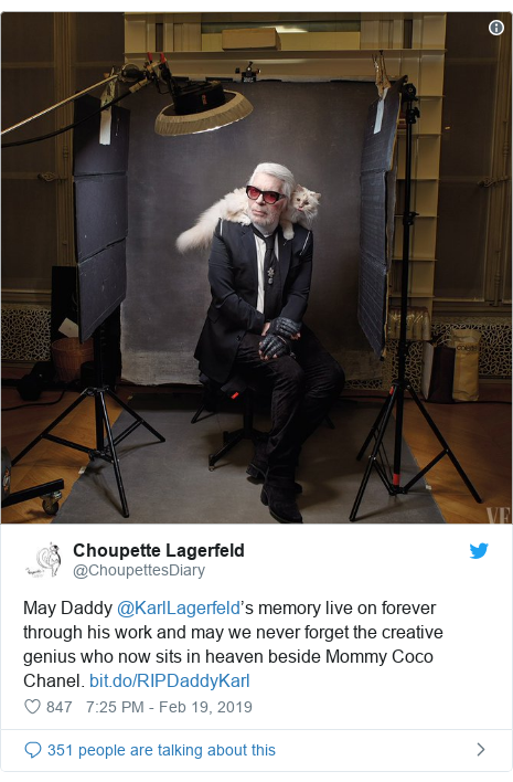 Karl Lagerfeld Designer S Cat Choupette Named In His Will Bbc News - twitter post by choupettesdiary may daddy karllagerfeld s memory live on forever through his