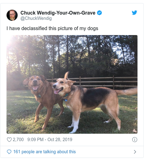 Ujumbe wa Twitter wa @ChuckWendig: I have declassified this picture of my dogs 