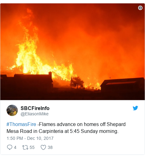 Twitter post by @EliasonMike: #ThomasFire -Flames advance on homes off Shepard Mesa Road in Carpinteria at 5 45 Sunday morning. 