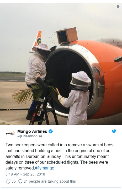 Twitter waxaa daabacay @FlyMangoSA: Two beekeepers were called into remove a swarm of bees that had started building a nest in the engine of one of our aircrafts in Durban on Sunday. This unfortunately meant delays on three of our scheduled flights. The bees were safely removed.#flymango 