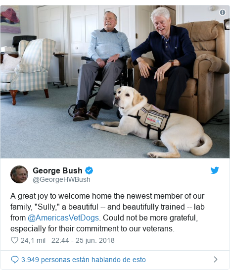 Publicación de Twitter por @GeorgeHWBush: A great joy to welcome home the newest member of our family, "Sully," a beautiful -- and beautifully trained -- lab from @AmericasVetDogs. Could not be more grateful, especially for their commitment to our veterans. 