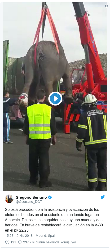 @Gserrano_DGT tarafından yapılan Twitter paylaşımı: Se está procediendo a la asistencia y evacuación de los elefantes heridos en el accidente que ha tenido lugar en Albacete. De los cinco paquidermos hay uno muerto y dos heridos. En breve de restablecerá la circulación en la A-30 en el pk 22/23.