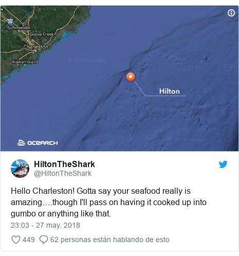 Publicación de Twitter por @HiltonTheShark: Hello Charleston! Gotta say your seafood really is amazing….though I'll pass on having it cooked up into gumbo or anything like that. 