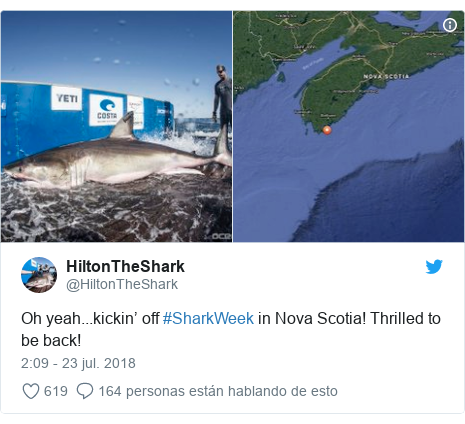 Publicación de Twitter por @HiltonTheShark: Oh yeah...kickin’ off #SharkWeek in Nova Scotia! Thrilled to be back! 