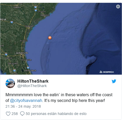 Publicación de Twitter por @HiltonTheShark: Mmmmmmmm love the eatin’ in these waters off the coast of @cityofsavannah. It’s my second trip here this year! 