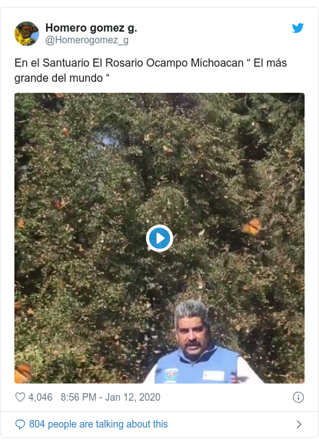 Twitter post by @Homerogomez_g: En el Santuario El Rosario Ocampo Michoacan “ El más grande del mundo “ 