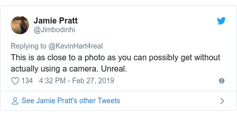 Twitter post by @Jimbodinhi: This is as close to a photo as you can possibly get without actually using a camera. Unreal.
