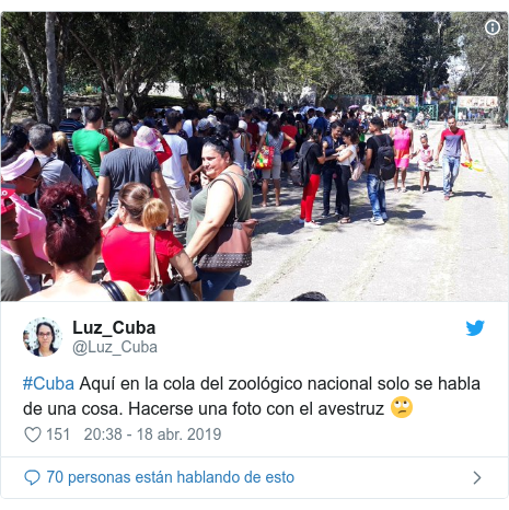 Publicación de Twitter por @Luz_Cuba: #Cuba Aquí en la cola del zoológico nacional solo se habla de una cosa. Hacerse una foto con el avestruz 🙄 