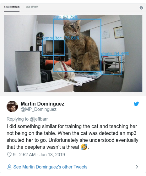 Cat Flap Uses Ai To Punish Pet S Killer Instincts Bbc News