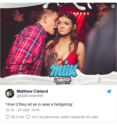 Publicación de Twitter por @MattCleland96: ‘How’d they let ye in wae a hedgehog’ 