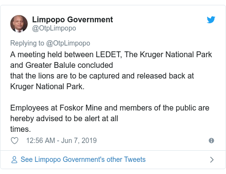 Twitter post by @OtpLimpopo: A meeting held between LEDET, The Kruger National Park and Greater Balule concluded that the lions are to be captured and released back at Kruger National Park.Employees at Foskor Mine and members of the public are hereby advised to be alert at all times.