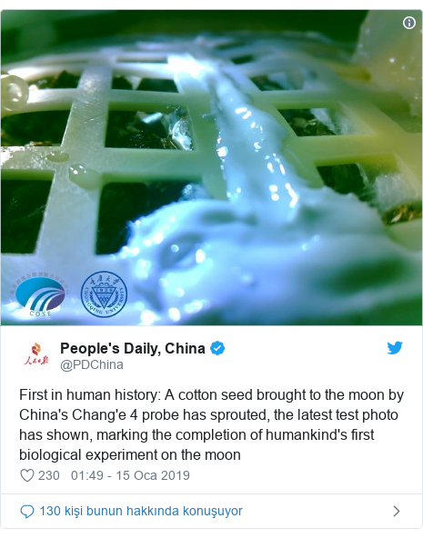 @PDChina tarafından yapılan Twitter paylaşımı: First in human history A cotton seed brought to the moon by China''s Chang''e 4 probe has sprouted, the latest test photo has shown, marking the completion of humankind''s first biological experiment on the moon 