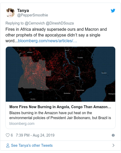 Twitter post by @PepperSmoothie: Fires in Africa already supersede ours and Macron and other prophets of the apocalypse didn’t say a single word...
