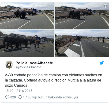 @PoliciaAlbacete tarafından yapılan Twitter paylaşımı: A-30 cortada por caída de camión con elefantes sueltos en la calzada. Cortada autovía dirección Murcia a la altura de pozo Cañada.
