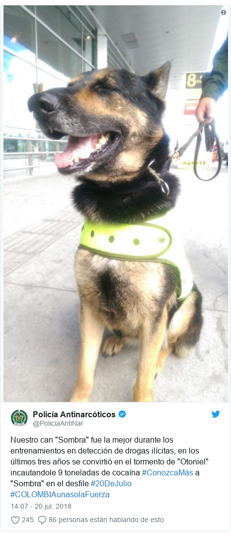 Publicación de Twitter por @PoliciaAntiNar: Nuestro can "Sombra" fue la mejor durante los entrenamientos en detección de drogas ilícitas, en los últimos tres años se convirtió en el tormento de "Otoniel" incautandole 9 toneladas de cocaína #ConozcaMás a "Sombra" en el desfile #20DeJulio #COLOMBIAunasolaFuerza 