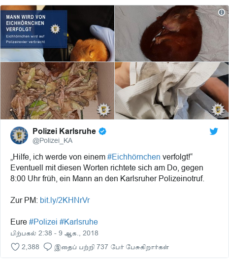 டுவிட்டர் இவரது பதிவு @Polizei_KA: „Hilfe, ich werde von einem #Eichhörnchen verfolgt!“ Eventuell mit diesen Worten richtete sich am Do, gegen 8 00 Uhr früh, ein Mann an den Karlsruher Polizeinotruf.Zur PM  Eure #Polizei #Karlsruhe 