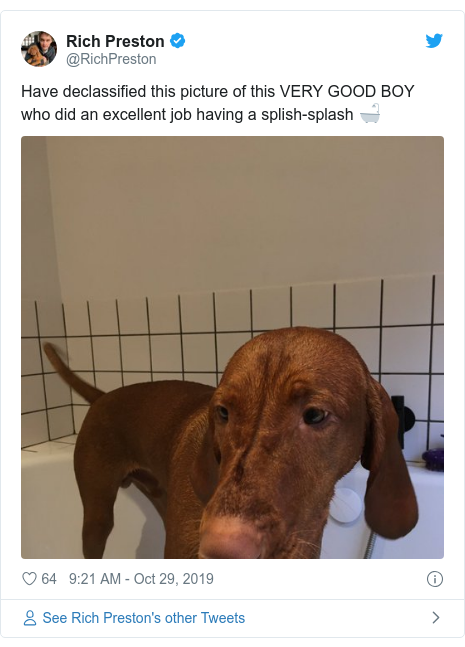 Ujumbe wa Twitter wa @RichPreston: Have declassified this picture of this VERY GOOD BOY who did an excellent job having a splish-splash 🛁 