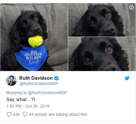 Twitter post by @RuthDavidsonMSP: Say, what....?!