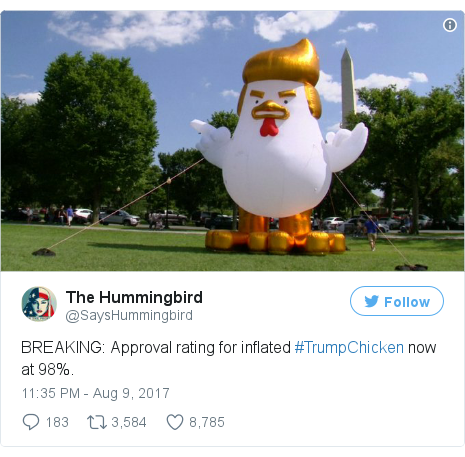 Trumpy brar