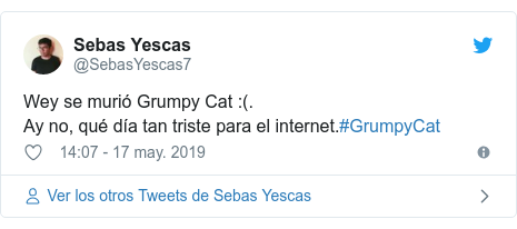 Publicación de Twitter por @SebasYescas7: Wey se murió Grumpy Cat (.Ay no, qué día tan triste para el internet.#GrumpyCat