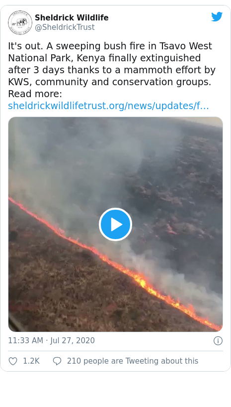 Twitter post by @SheldrickTrust: It's out. A sweeping bush fire in Tsavo West National Park, Kenya finally extinguished after 3 days thanks to a mammoth effort by KWS, community and conservation groups. Read more   