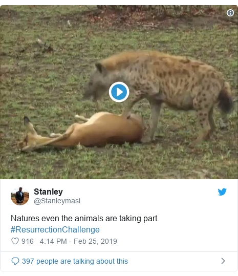 Twitter post by @Stanleymasi: Natures even the animals are taking part #ResurrectionChallenge 