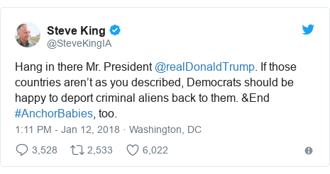 Twitter post by @SteveKingIA: Hang in there Mr. President @realDonaldTrump. If those countries aren’t as you described, Democrats should be happy to deport criminal aliens back to them. &End #AnchorBabies, too.