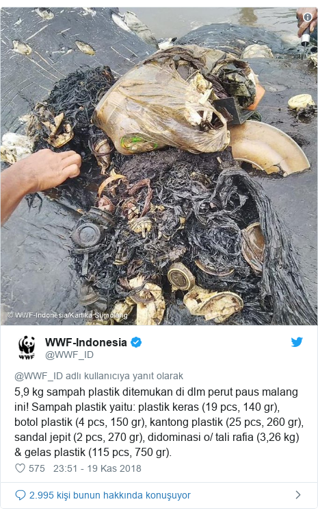 @WWF_ID tarafından yapılan Twitter paylaşımı: 5,9 kg sampah plastik ditemukan di dlm perut paus malang ini! Sampah plastik yaitu plastik keras (19 pcs, 140 gr), botol plastik (4 pcs, 150 gr), kantong plastik (25 pcs, 260 gr), sandal jepit (2 pcs, 270 gr), didominasi o/ tali rafia (3,26 kg) & gelas plastik (115 pcs, 750 gr). 