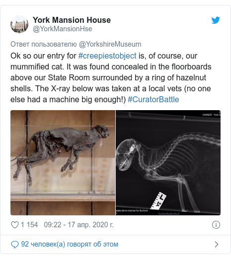 Twitter пост, автор: @YorkMansionHse: Ok so our entry for #creepiestobject is, of course, our mummified cat. It was found concealed in the floorboards above our State Room surrounded by a ring of hazelnut shells. The X-ray below was taken at a local vets (no one else had a machine big enough!) #CuratorBattle 