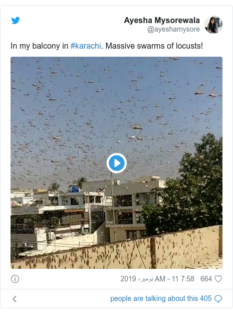 ٹوئٹر پوسٹس @ayeshamysore کے حساب سے: In my balcony in #karachi. Massive swarms of locusts! 
